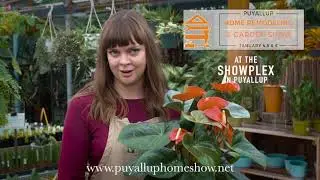 Windmill Gardens Get Tips