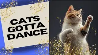 Cat's Gotta Dance Like Nobody's Watching 😽