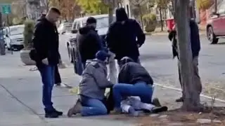 Four detained in ICE operation on Elmwood Avenue in Buffalo