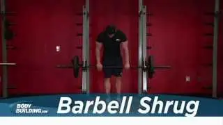 Barbell Shrug - Shoulder Exercise - Bodybuilding.com