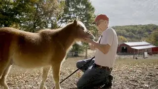 Horses and Art, Cherokee Artist John Guthrie
