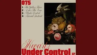 Enter The Zone (Original Mix)