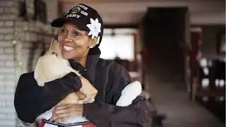 Earning his service dog vest - Timber's story