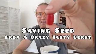 Propagating My New Favorite Berry