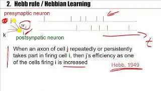 Synaptic Plasticity and Learning in the Brain