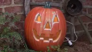 Halloween Electrical Safety!