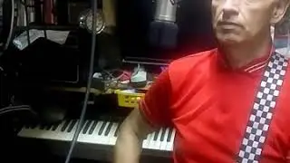 This is how it Feels. The Inspiral Carpets. My Solo cover version