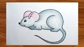 Easy Rat Drawing || Mouse Drawing Step by step for beggeiner's by CreativityStudio...