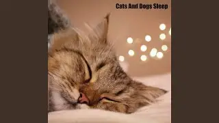 Separation Anxiety Music For Pets (feat. Music For Cats, World of cat's & Музыка для...