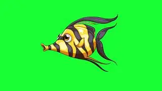 Best Cartoon Fish Green Screen Effect chroma key Free download
