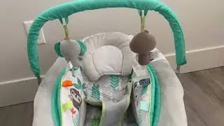 Bright Starts Comfy Baby Bouncer Soothing Vibrations Infant Seat Review