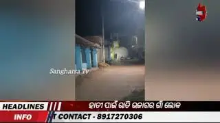 ହାତୀ ପାଇଁ ରାତି ଉଜାଗର ଗାଁ ଲୋକ#joda #news #viral #odia #latestnews #odisha #sangharsatv 