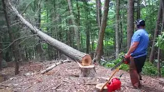 Attitash Bike Park Break Trail on Route 302