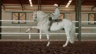 SF MIKIMA - Yeguada El Cincuenta