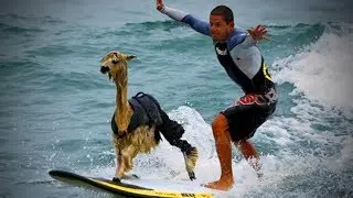 Vacation Fails 😂🌞 Funny Summer Vacation Fails (Part 2) [Epic Life]