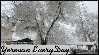27.01.26, Tu, Աննախադեպ խորը համագործակցության ծրագիր է պետկ, Խորենացի, Սարյան