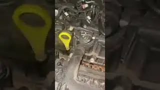 2017 Ford Escape SE Engine Knock