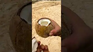 Fresh coconut water. Cozumel. Mexico. Кокосовая вода из кокоса. Косумель. Мексика