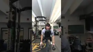Exercise Index: Chest Supported Rows