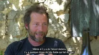 Vin naturel : le domaine des Miquettes