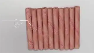 ООО НПП 