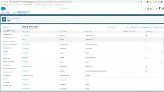 Panaya Impact Analysis for Salesforce Industries