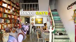 Самое УНИКАЛЬНОЕ кафе в Ханое, Вьетнам.