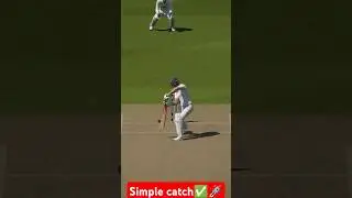 A simple catch✅lyon💯 #shorts #cricket #cricketshorts