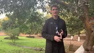An important rant on Ai Alignment and Transformational Ai / AGI / ASI.