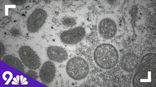 New data on the efficacy of the monkeypox vaccine to be released