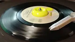 The One That You Love - Air Supply 