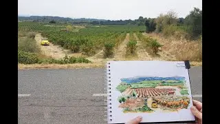 Vineyard location sketch