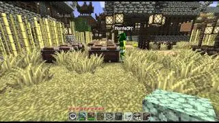 Let's Show Minecraft - zuschauer99 Server #12