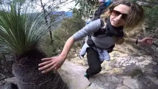 Mt Solitary