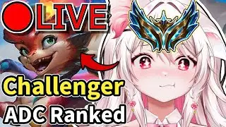 What kind of music won&rsquo;t balloons listen to?  | Challenger 1024 LP Start