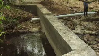 AsoFenix & Green Empowerment: Changing Lives Through Renewable Energy