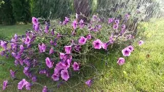 Lluvia Hermosos paisajes lugares y naturaleza 😍🧡🧡
