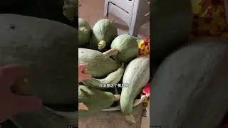 东北上冻前的统一工作是什么#农村生活 #我的乡村生活 #入冬一定要做的事 #农村生活日常
