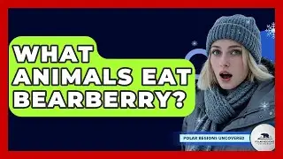 What Animals Eat Bearberry? - Polar Regions Uncovered