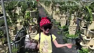 Burrs Berry Farm 🍅🍓🌽