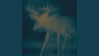 Labirinto