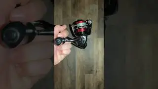 Best Budget reel! (In my opinion) #fishing #explore #gopro