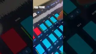 App Prime loop community
