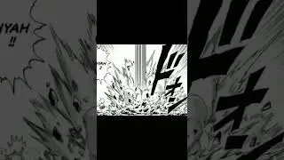GAROU vs FLASHY FLASH vs PLATINUM SPERM #onepunchman #manga
