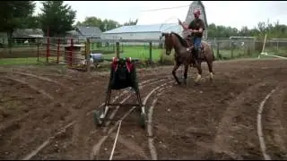 Training a young head horse on a dummy