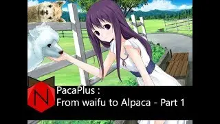 Visual Regrets : PacaPlus (Part 1)