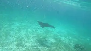 Mayaguana Island Bahamas May 2019