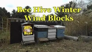 Bee Hive Winter Prep. Wind Blocks 6 Of 6