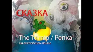 DIY puppet show 