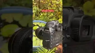 Canon 5d Mark IV Protrait King